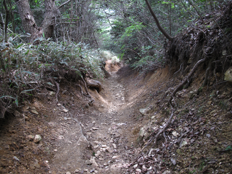 20140602hike (332)